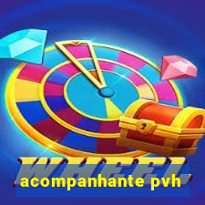 acompanhante pvh